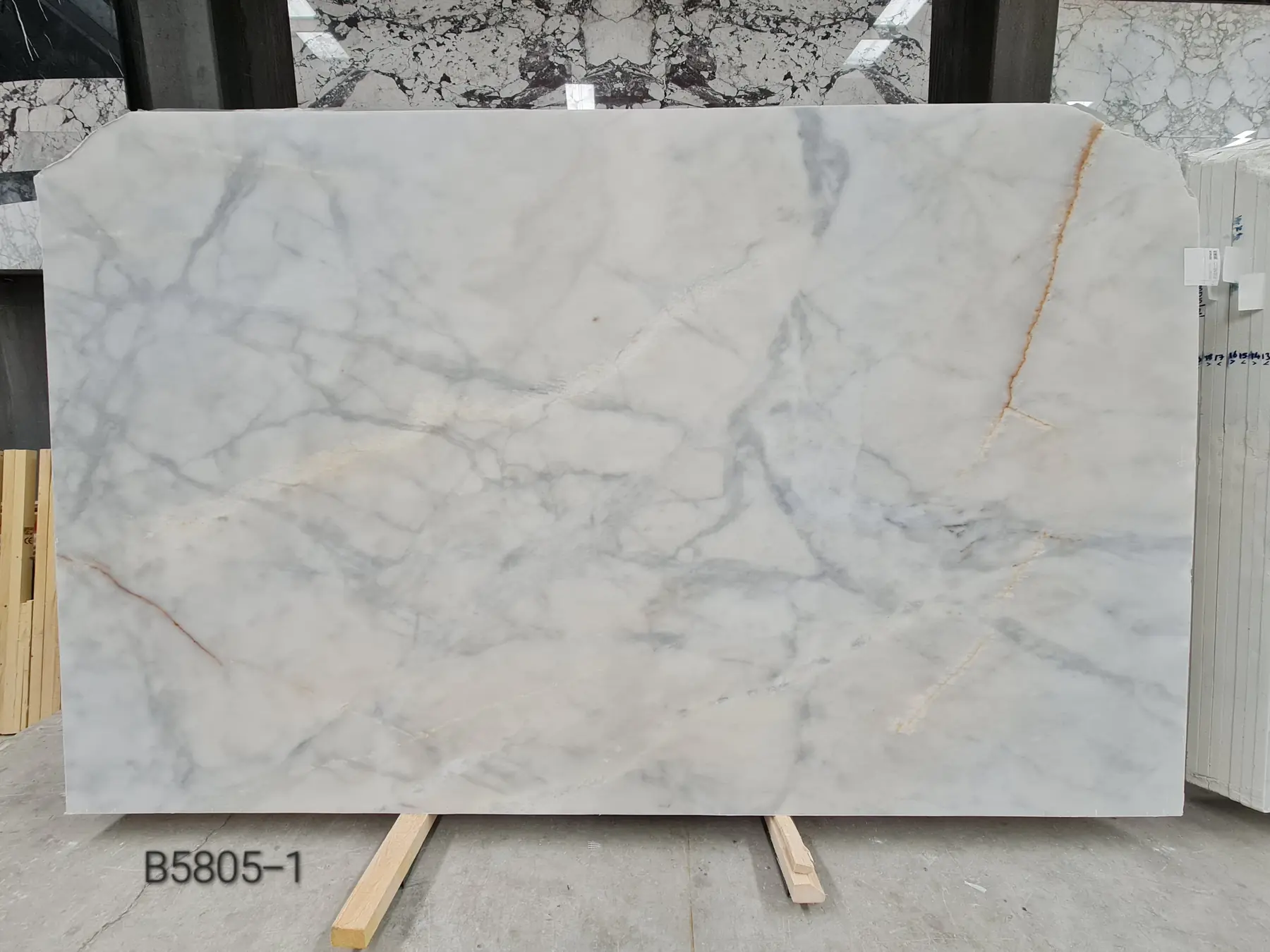 Natural Stone Collection Afyon White Marble Slab photograph for marble tile and slab selection