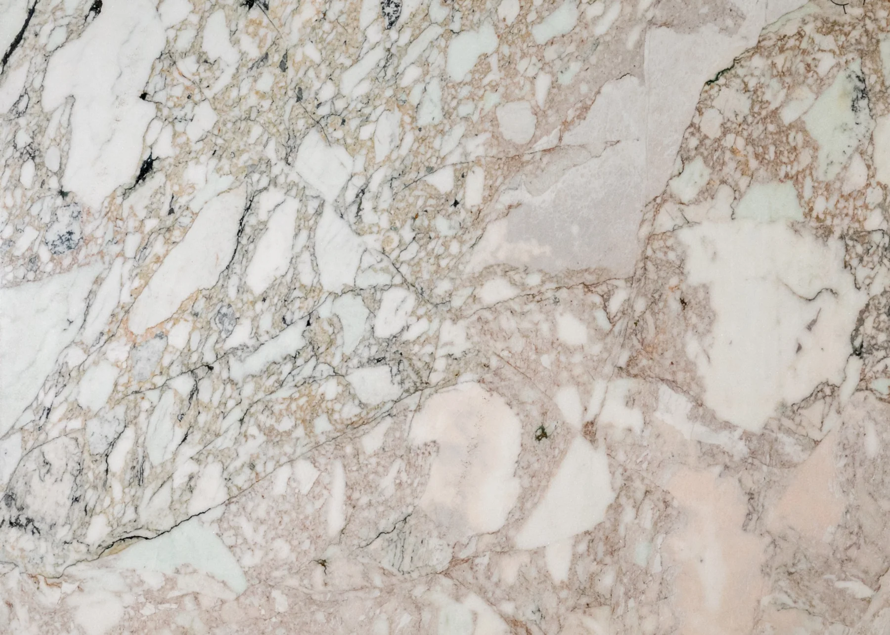Natural Stone Collection Amazonia Natural Stone Slab photograph