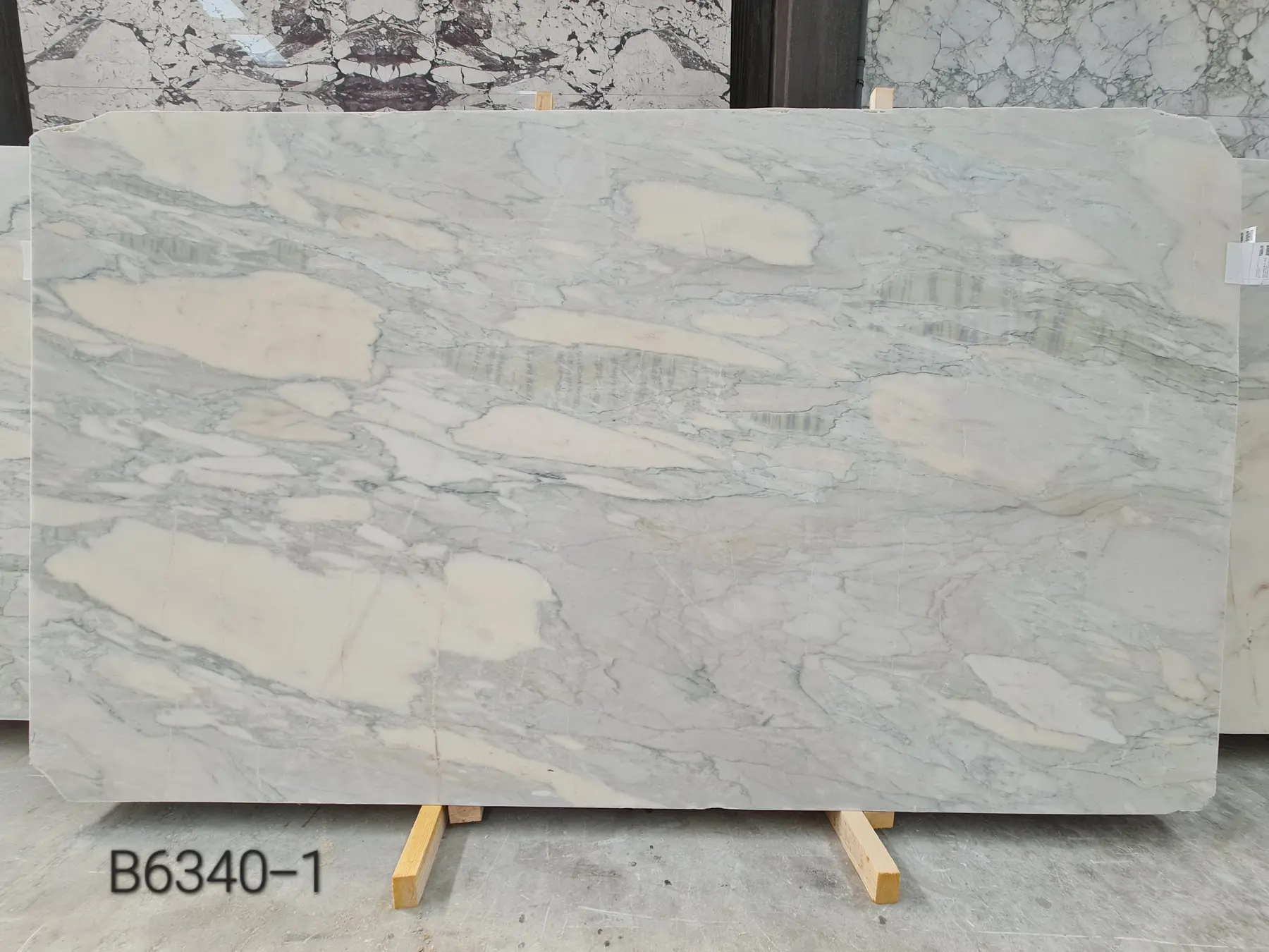Natural Stone Collection Arabescato Oyster Marble Slab photograph for marble tile and slab selection