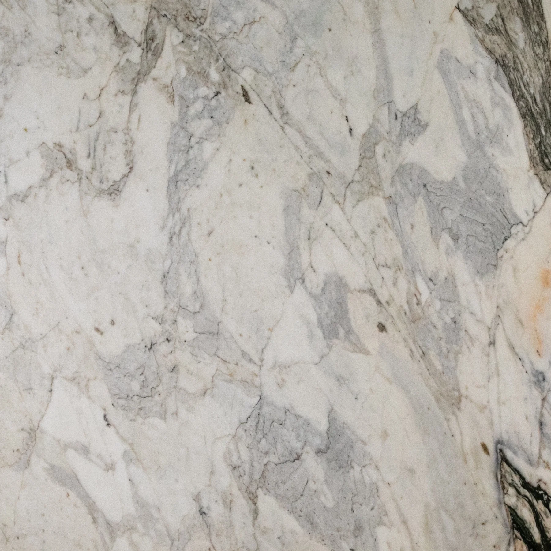 Natural Stone Collection Bianco Monte Marble Slab photograph for marble tile and slab selection