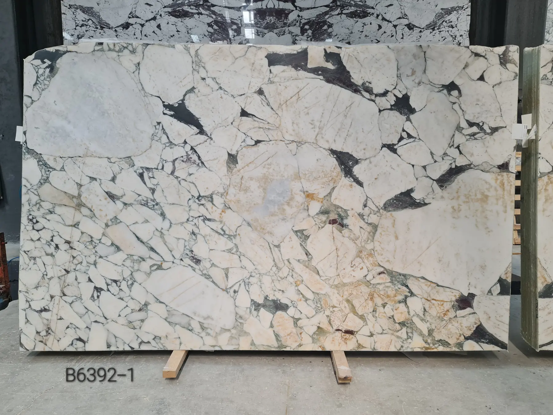 Natural Stone Collection Calacatta Viola Marble Slab photograph for marble tile and slab selection