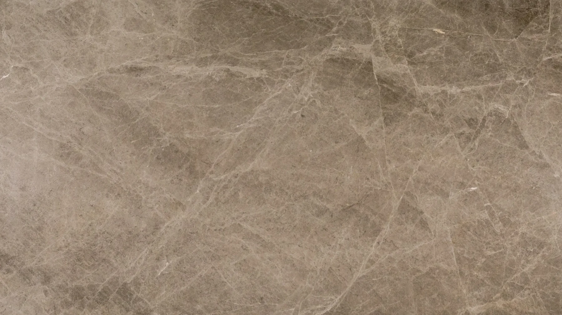 Natural Stone Collection Emperador Silver Marble Slab photograph for marble tile and slab selection