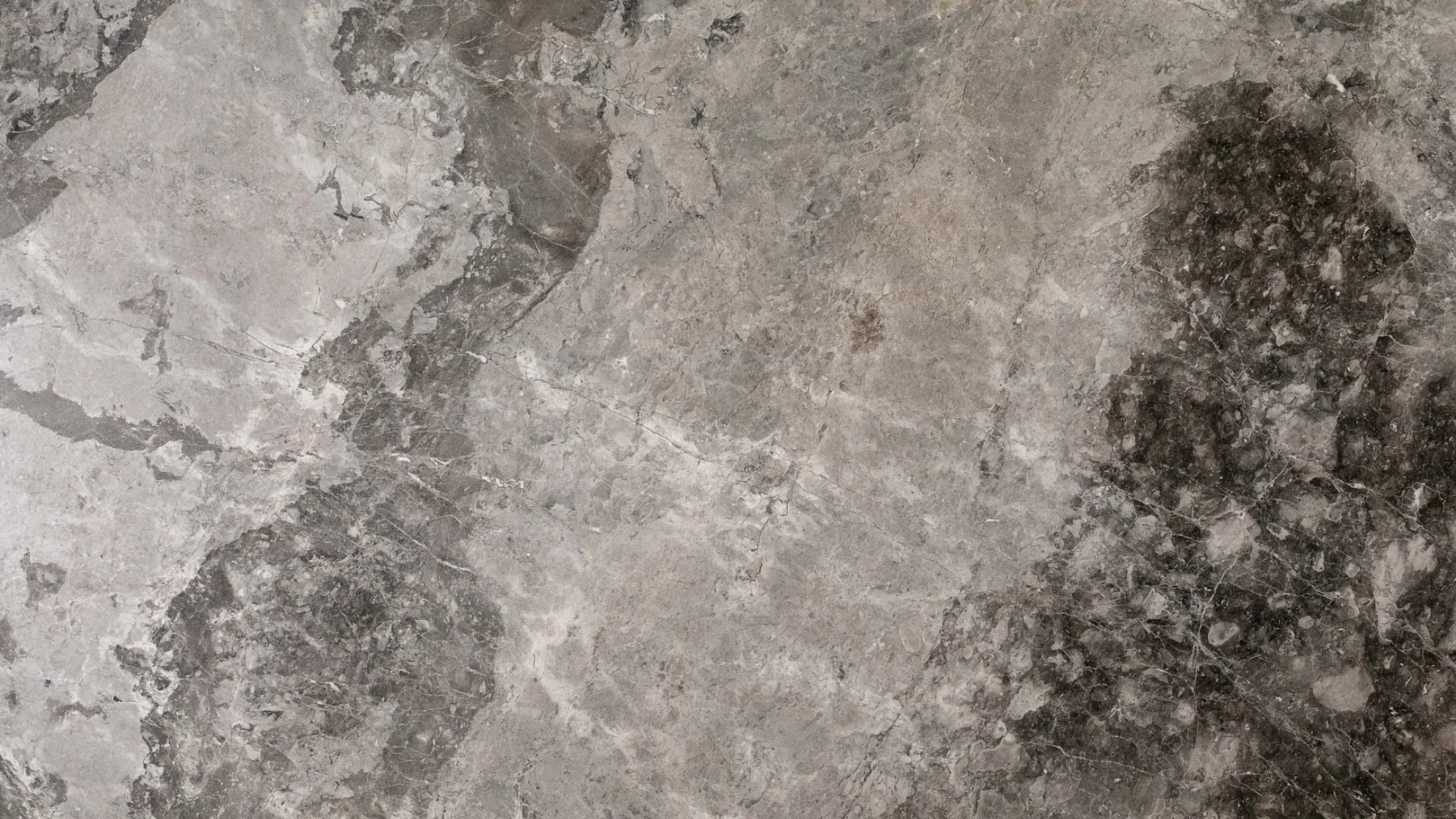 Natural Stone Collection Galactic Cement Natural Stone Slab photograph