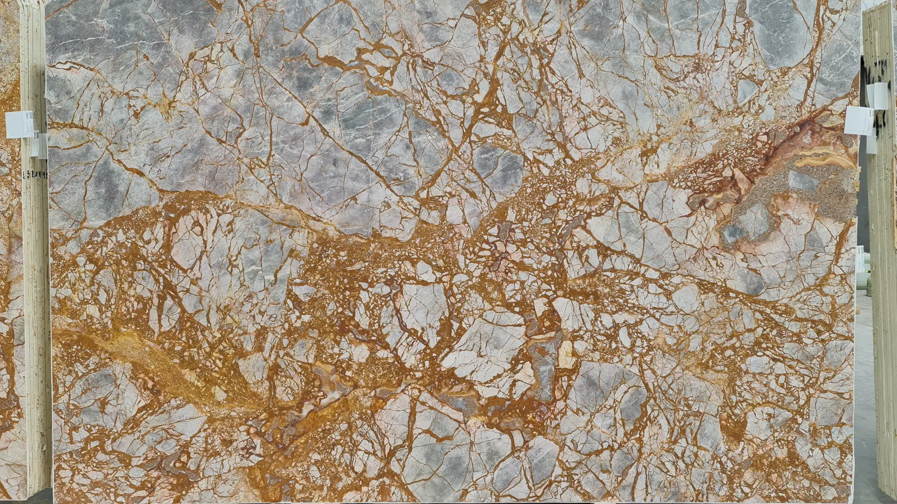 Natural Stone Collection Galapagos Marble Slab photograph for marble tile and slab selection