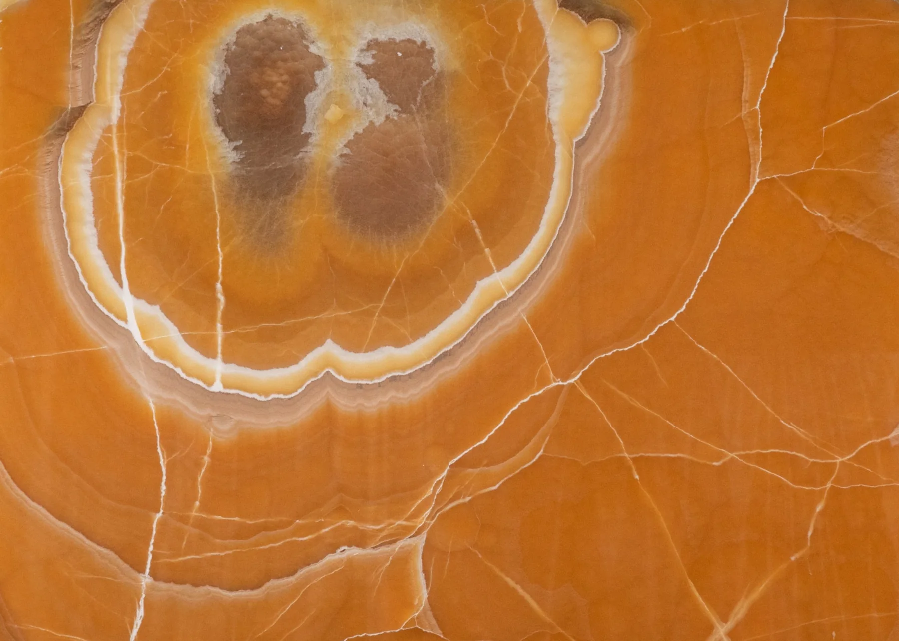 Natural Stone Collection Golden Onyx Onyx Slab photograph