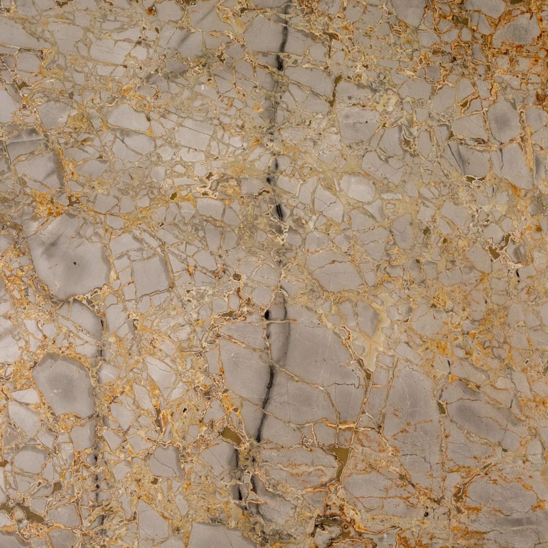 Natural Stone Collection Grigio Gold Marble Slab photograph for marble tile and slab selection