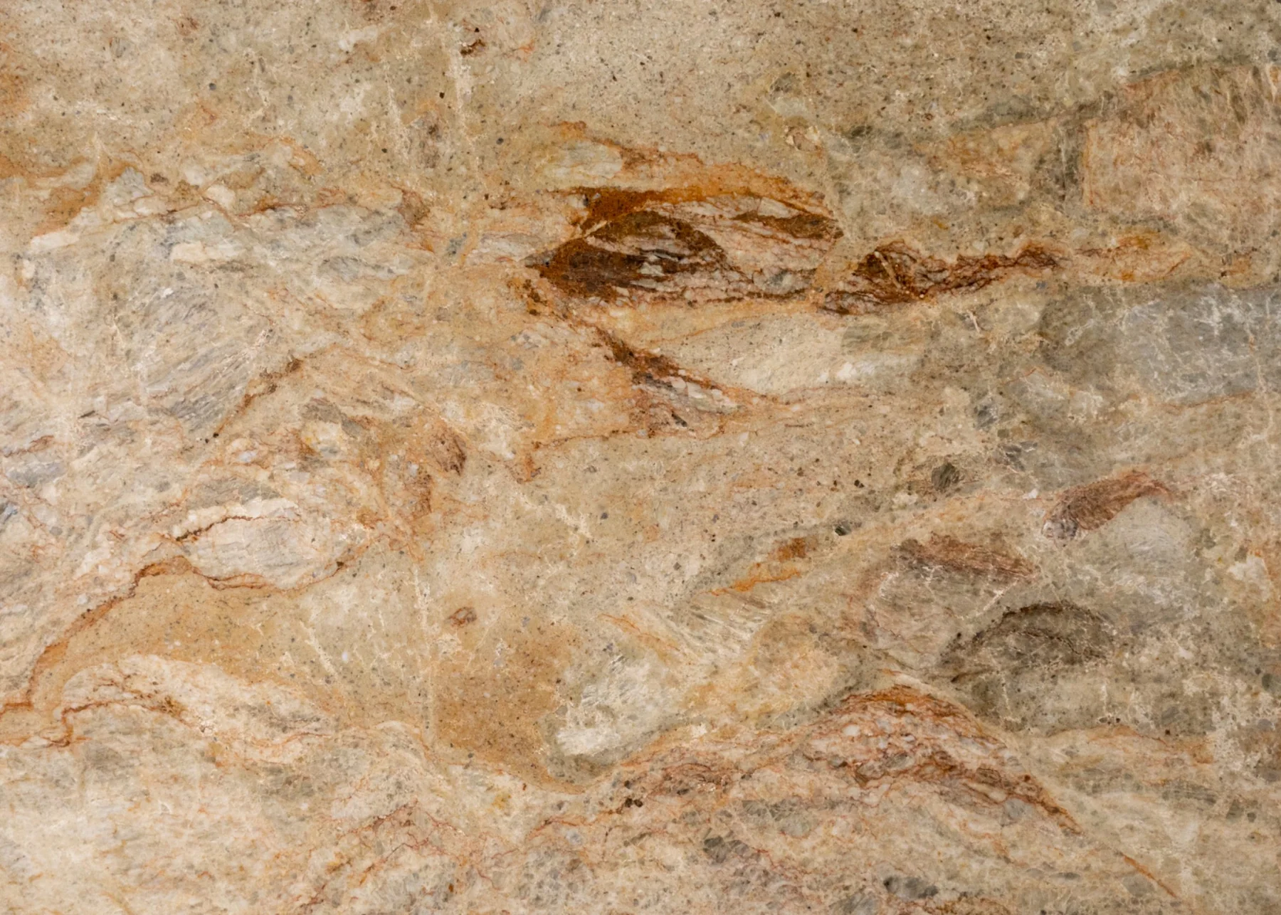 Natural Stone Collection Siena Marmi Marble Slab photograph for marble tile and slab selection