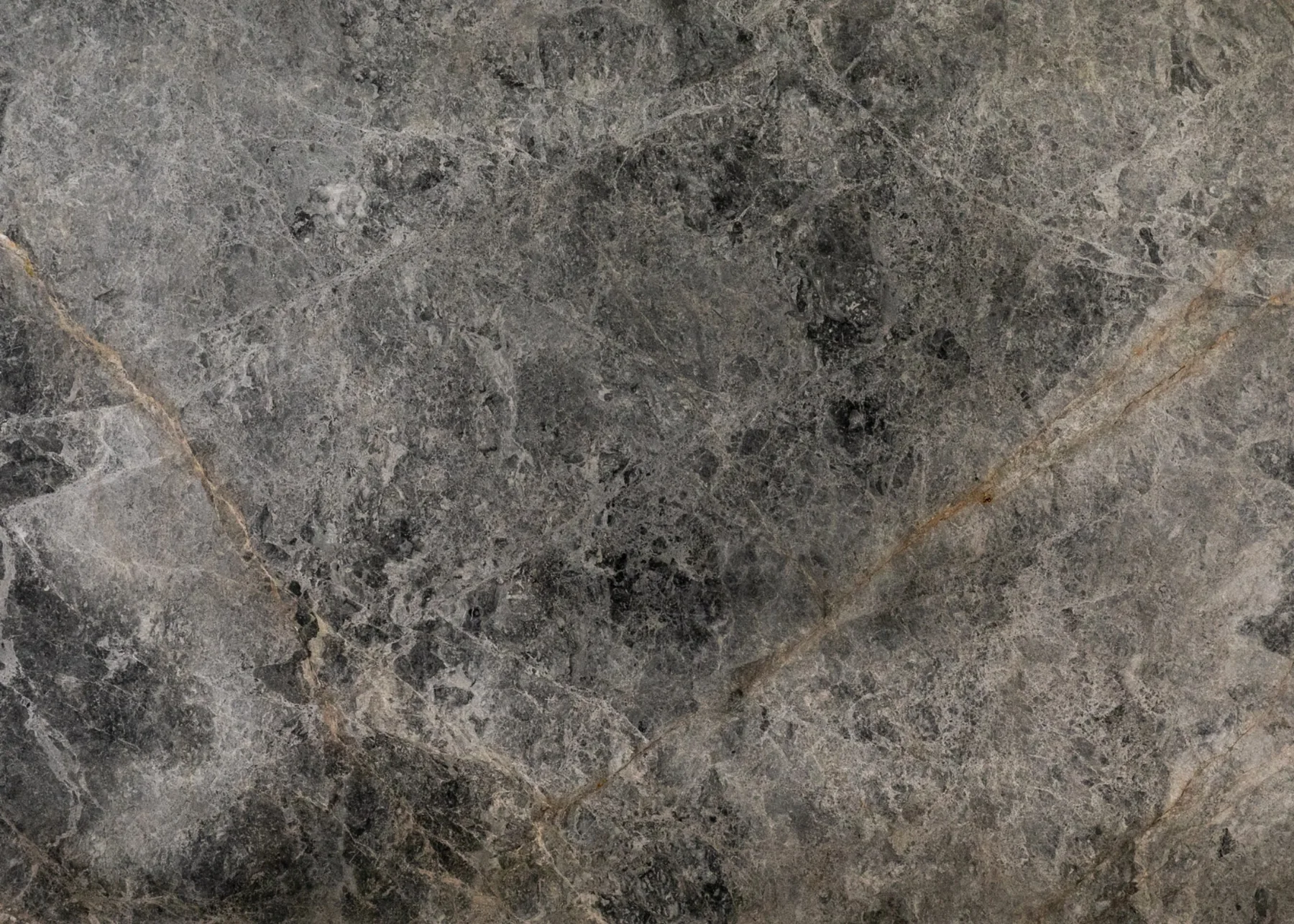 Natural Stone Collection Tundra Dark Marble Slab photograph for marble tile and slab selection