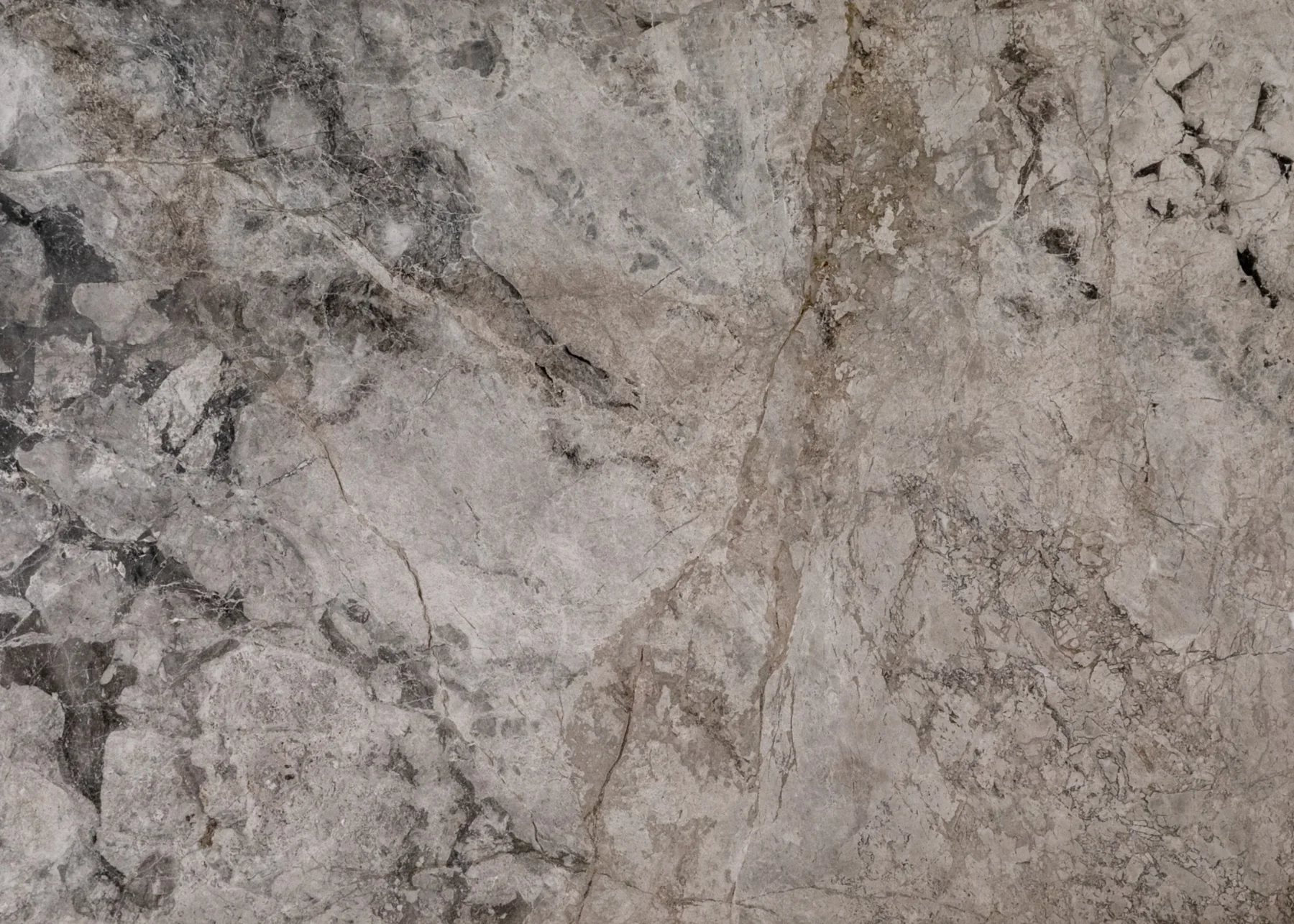 Natural Stone Collection Tundra Grey Marble Slab photograph for marble tile and slab selection