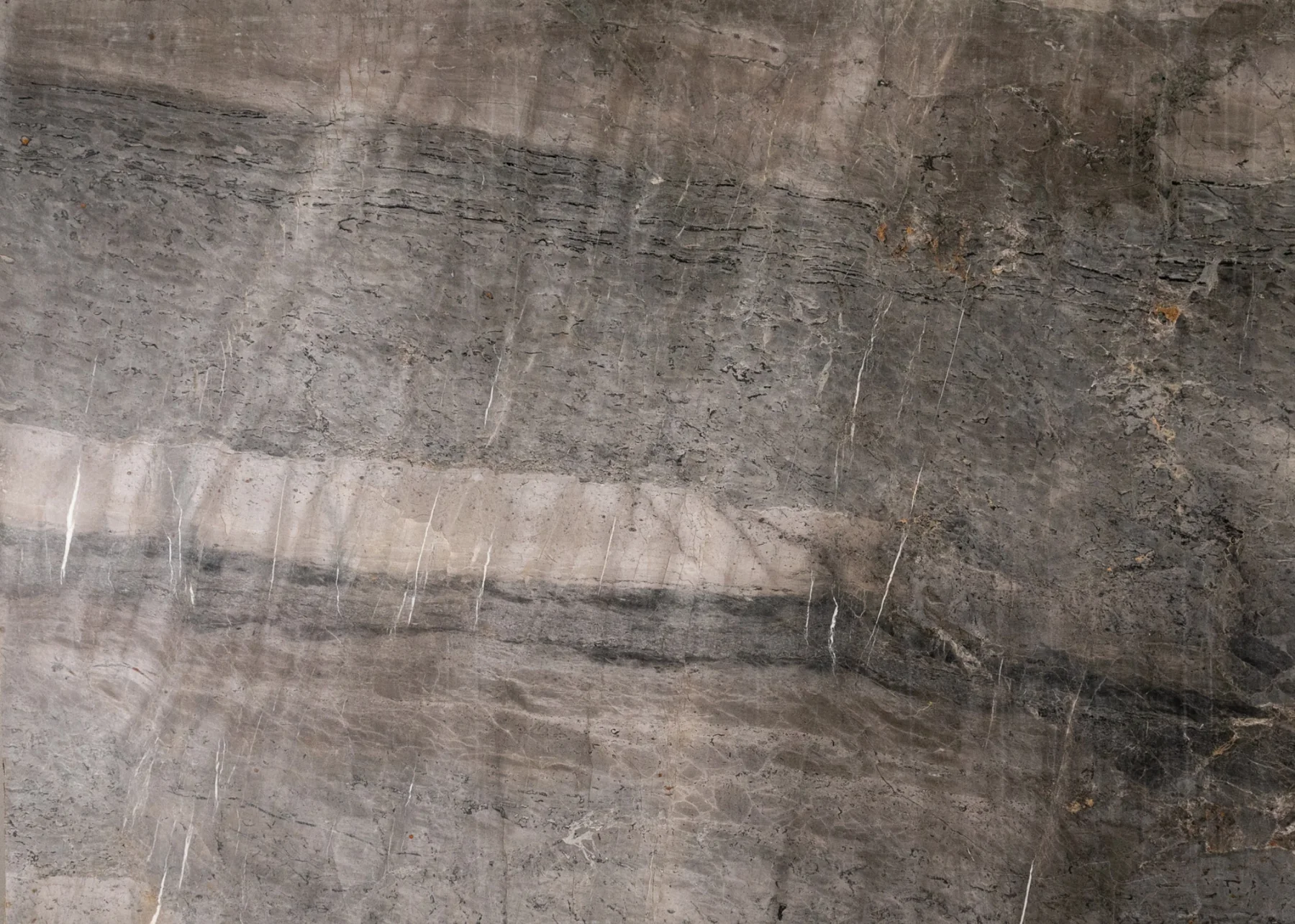 Natural Stone Collection Venus Grey Marble Slab photograph for marble tile and slab selection