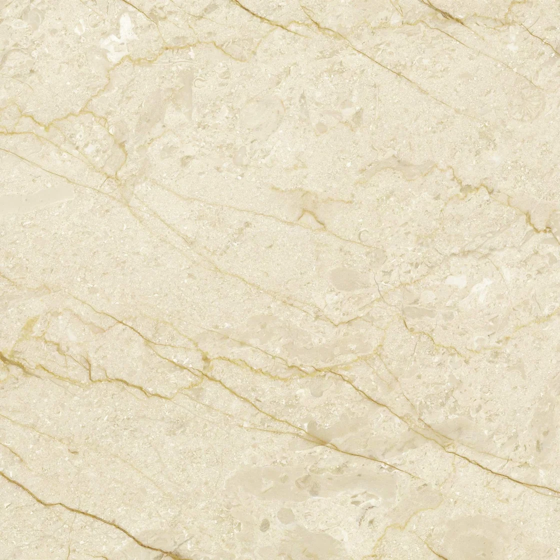 Crema Golden (Cilali) | ladrilho de mármore Crema Golden (Cilali) ladrilho de mármore — um fundo suave de marfim e creme, linhas finas castanho-douradas a cruzar a superfície