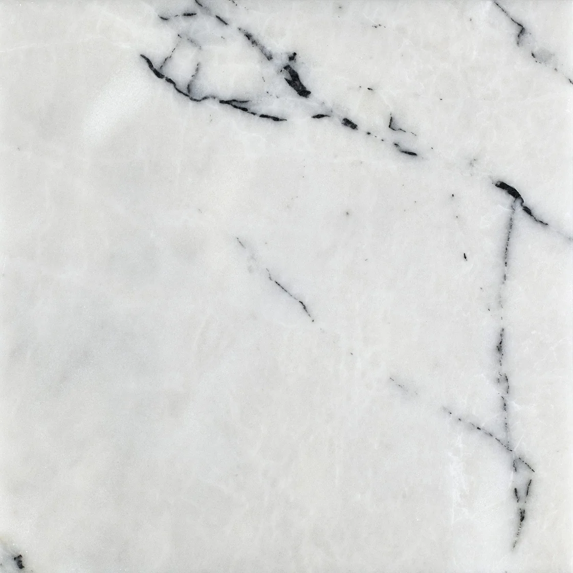 Muğla Newyork | ladrilho de mármore Muğla Newyork ladrilho de mármore — um fundo branco luminoso, uma rede complexa de veios escuros ramificados